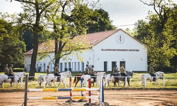 Megújulhatnak az üllői lóklinika útjai