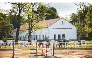 Megújulhatnak az üllői lóklinika útjai