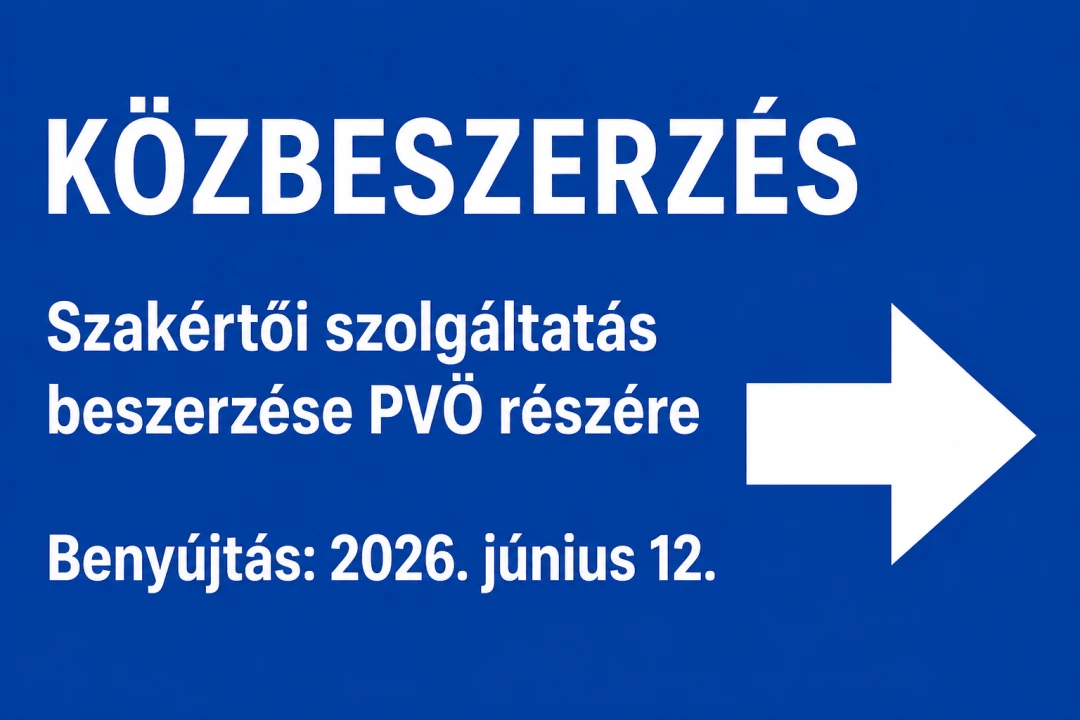 ÚJ KÖZBESZERZÉSI KIÍRÁS: "Szakértői szolgáltatás beszerzése PVÖ részére"