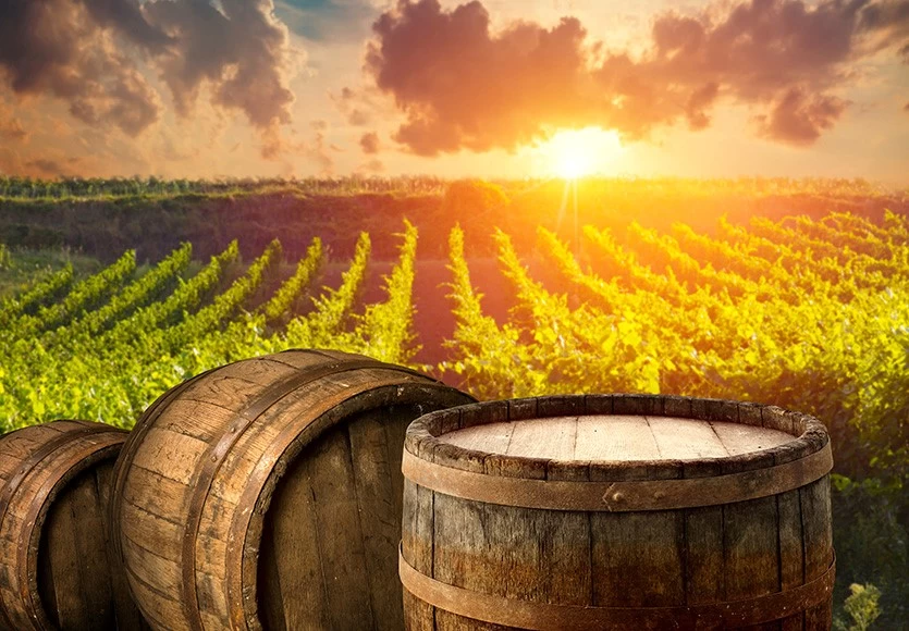 Pályázat a borászati üzemek technológiai fejlesztésére