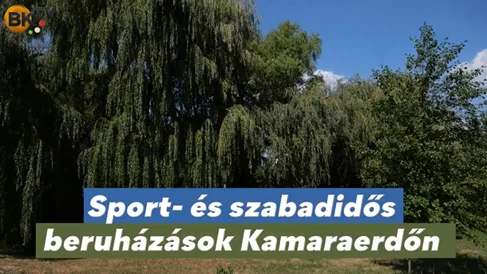 Sikeres Kolozsvári utcai felújítás Budaörsön: új parkolók és biztonságosabb járda Kamaraerdőn