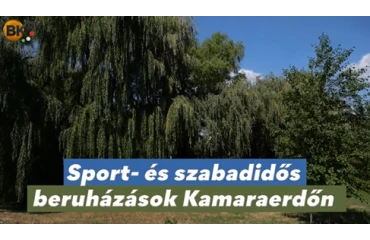 Sikeres Kolozsvári utcai felújítás Budaörsön: új parkolók és biztonságosabb járda Kamaraerdőn