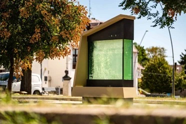Érd lett az első uniós város, ahol folyékony fa szűri a levegőt