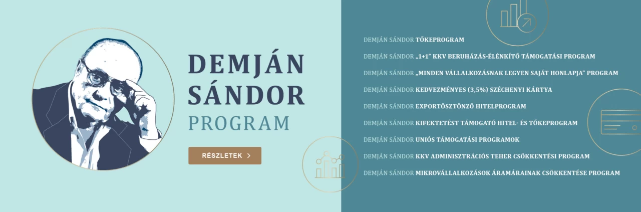 Minden vállalkozásnak legyen saját holnapja- Demján Sándor program