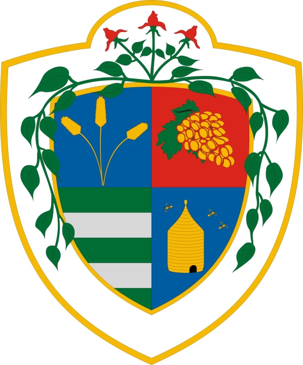 Fontos döntéseket hozott Dunaharaszti képviselő-testülete