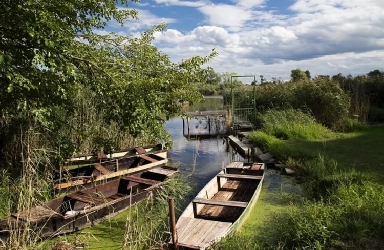 A szigetszentmiklósi úszóláp Kenukikötő és a Május 1. sétány felújításához kivitelezőt keresnek