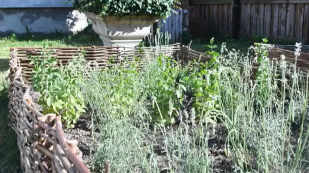 Újabb Zöld Megoldás projekt valósult meg – példaértékű lépés a fenntarthatóság jegyében