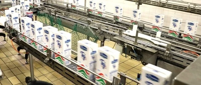 50 éves jubileumát ünnepli Vác egyik legnagyobb foglalkoztatója a Naszálytej Zrt.