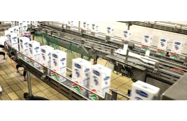 50 éves jubileumát ünnepli Vác egyik legnagyobb foglalkoztatója a Naszálytej Zrt.