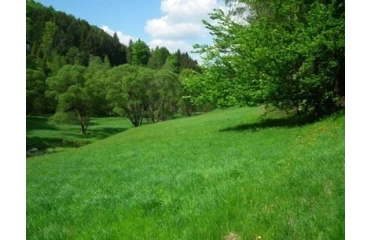 Zöld- kék infrastruktúra fejlesztések  valósulhatnak meg Szigetszentmiklóson