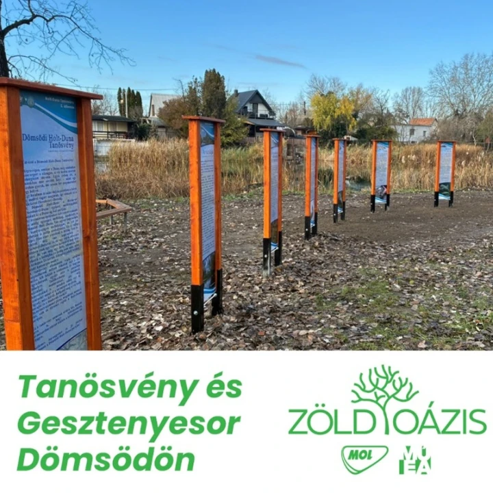 Tanösvény és Gesztenyesor Dömsödön