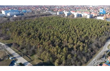 Kistarcsa átvette a Fenyves erdőt