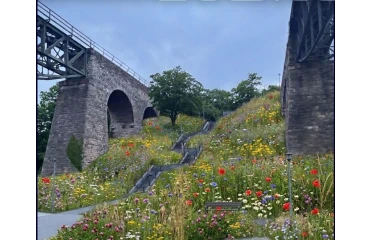 Megújul a Viaduktok közti terület Biatorbágyon