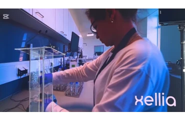 Új munkahelyek és közlekedési fejlesztések Szigetszentmiklóson