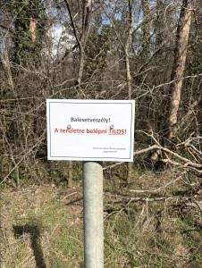 Kistarcsán a Fenyves-kiserdőben megkezdődnek az előkészítő munkálatok