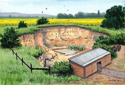 Halásztelki Tanösvény – közösségi kezdeményezés Halásztelken